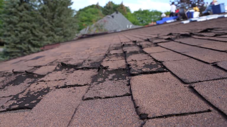 Best Skylight Installation and Repair  in Lakeview, OH