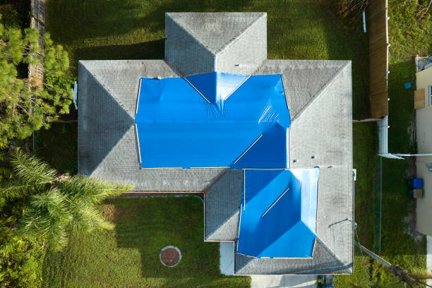 Best Roof Coating Services  in Lakeview, OH
