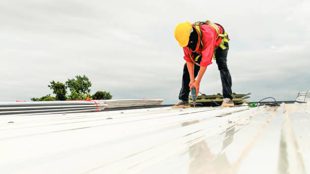 Best Roof Repair  in Lakeview, OH
