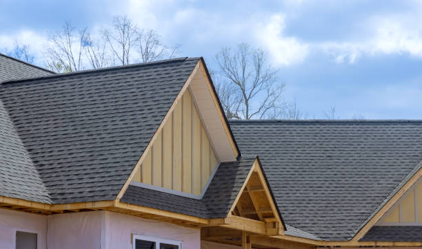 Best Roof Ventilation Installation  in Lakeview, OH