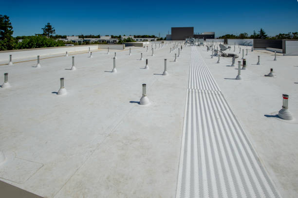 Best Gutter Installation and Repair  in Lakeview, OH